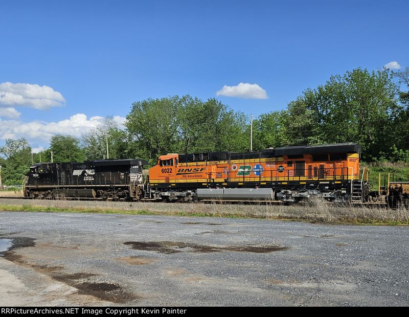 NS 7650